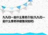 九九归一是什么意思介绍(九九归一是什么意思详细情况如何)