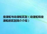 定滑轮与动滑轮区别（动滑轮和定滑轮的区别简介介绍）