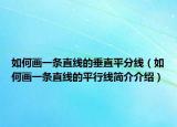 如何画一条直线的垂直平分线（如何画一条直线的平行线简介介绍）