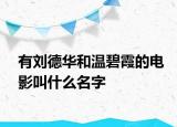 有刘德华和温碧霞的电影叫什么名字