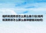 杨羚和龚慈恩怎么那么像介绍(杨羚和龚慈恩怎么那么像详细情况如何)