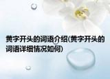 黄字开头的词语介绍(黄字开头的词语详细情况如何)