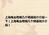 上海电台有哪几个频道简介介绍一下（上海电台有哪几个频道简介介绍）