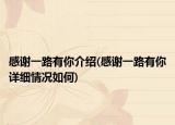 感谢一路有你介绍(感谢一路有你详细情况如何)