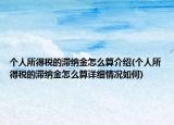 个人所得税的滞纳金怎么算介绍(个人所得税的滞纳金怎么算详细情况如何)