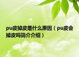 pu皮掉皮是什么原因（pu皮会掉皮吗简介介绍）