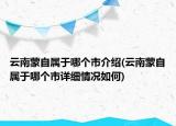 云南蒙自属于哪个市介绍(云南蒙自属于哪个市详细情况如何)