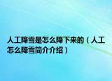 人工降雪是怎么降下来的（人工怎么降雪简介介绍）
