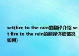 set(fire to the rain的翻译介绍 set fire to the rain的翻译详细情况如何)
