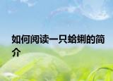 如何阅读一只蛤蜊的简介