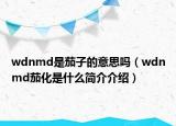 wdnmd是茄子的意思吗（wdnmd茄化是什么简介介绍）
