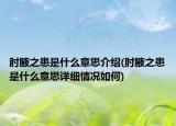 肘腋之患是什么意思介绍(肘腋之患是什么意思详细情况如何)