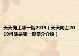 天天向上哪一期2019（天天向上2019肖战是哪一期简介介绍）