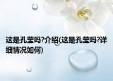 这是孔莹吗?介绍(这是孔莹吗?详细情况如何)