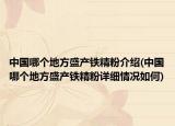 中国哪个地方盛产铁精粉介绍(中国哪个地方盛产铁精粉详细情况如何)