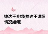 捷达王介绍(捷达王详细情况如何)