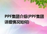 PPF集团介绍(PPF集团详细情况如何)