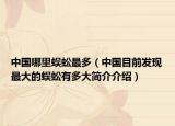 中国哪里蜈蚣最多（中国目前发现最大的蜈蚣有多大简介介绍）