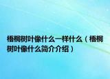 梧桐树叶像什么一样什么（梧桐树叶像什么简介介绍）