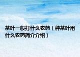 茶叶一般打什么农药（种茶叶用什么农药简介介绍）