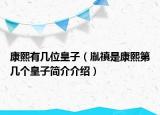 康熙有几位皇子（胤禛是康熙第几个皇子简介介绍）