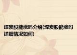 煤炭股能涨吗介绍(煤炭股能涨吗详细情况如何)