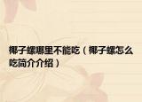 椰子螺哪里不能吃（椰子螺怎么吃简介介绍）