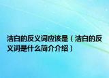 洁白的反义词应该是（洁白的反义词是什么简介介绍）