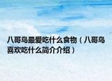 八哥鸟最爱吃什么食物（八哥鸟喜欢吃什么简介介绍）