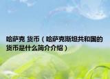 哈萨克 货币（哈萨克斯坦共和国的货币是什么简介介绍）