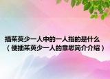插茱萸少一人中的一人指的是什么（便插茱萸少一人的意思简介介绍）