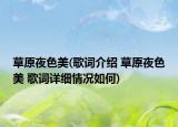 草原夜色美(歌词介绍 草原夜色美 歌词详细情况如何)