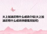 火上加油还有什么成语介绍(火上加油还有什么成语详细情况如何)