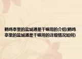 鹤鸣亭里的盐城通是干嘛用的介绍(鹤鸣亭里的盐城通是干嘛用的详细情况如何)