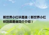 新世界小红袄是谁（新世界小红袄到底是谁简介介绍）