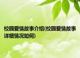 校园爱情故事介绍(校园爱情故事详细情况如何)