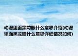 动漫里面黑龙眼什么意思介绍(动漫里面黑龙眼什么意思详细情况如何)