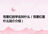 雪里红的学名叫什么（雪里红是什么简介介绍）