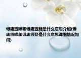 毋庸置喙和毋庸置疑是什么意思介绍(毋庸置喙和毋庸置疑是什么意思详细情况如何)