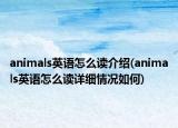 animals英语怎么读介绍(animals英语怎么读详细情况如何)