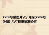 k206软卧图片\