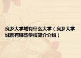 良乡大学城有什么大学（良乡大学城都有哪些学校简介介绍）