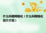 什么叫做网格化（什么叫网格化简介介绍）
