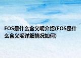 FOS是什么含义呢介绍(FOS是什么含义呢详细情况如何)