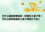为什么猫能够像液体一样缩在小盒子里（为什么猫咪能缩在小盒子里简介介绍）