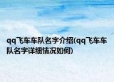 qq飞车车队名字介绍(qq飞车车队名字详细情况如何)