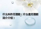什么叫作无理数（什么是无理数简介介绍）