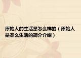 原始人的生活是怎么样的（原始人是怎么生活的简介介绍）
