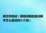 膜怎样组词（膜组词膜的组词膜字怎么组词简介介绍）