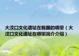 大汶口文化遗址在我国的哪里（大汶口文化遗址在哪里简介介绍）